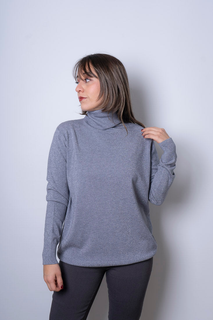 Sweater Beatle brillante - Gris